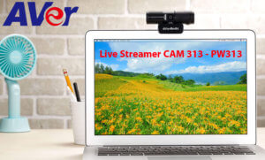Aver Live Streamer Cam 313 Senegal